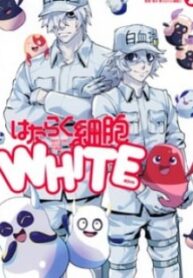 Hataraku Saibou White