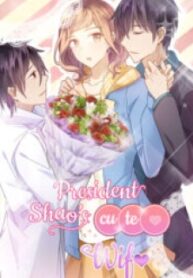 President Shao’s Cute Wife