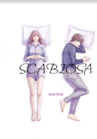 Scabiosa – Manga