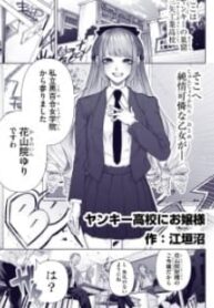 Yankee Koukou Ni Ojou-Sama (Pre-Serialization)