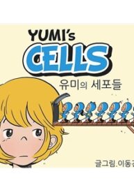 Yumi's Cells